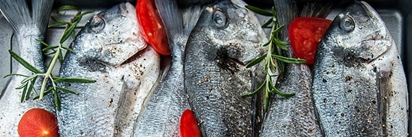 Best Vitamins for Skin - Omega 3 in Fish - The Wellnest by HUM Nutrition