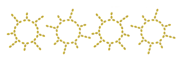 sunshine - Vitamin-D Deficiency - The Wellnest by HUM Nutrition