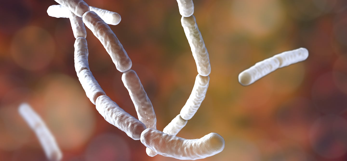 What Probiotic Is Best
