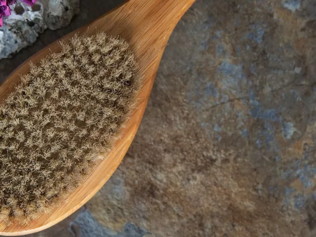 Overhead shot of dry brush that can help achieve glowing skin