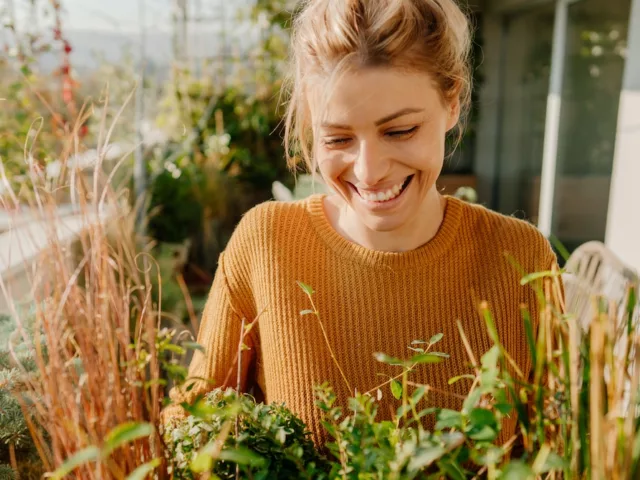 Calm woman gardening rhodiola rosea herb