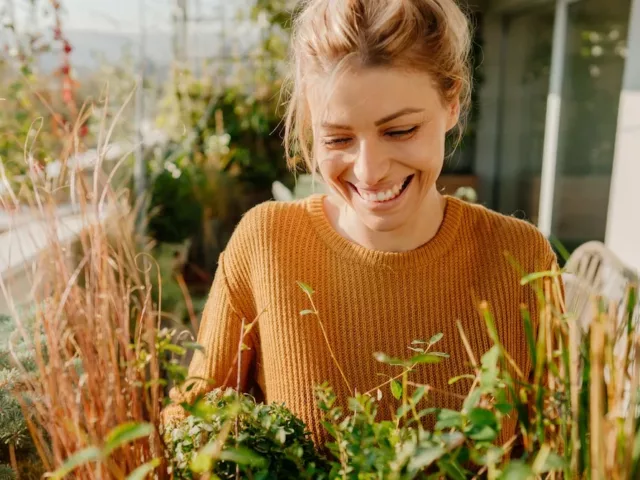 Calm woman gardening rhodiola rosea herb