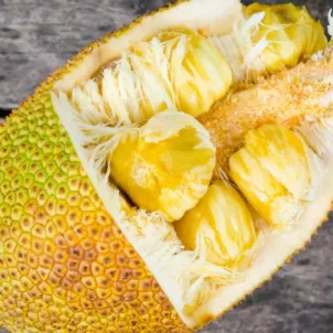 Does Jackfruit Taste As Weird As It Looks - The Wellnest by HUM Nutrition