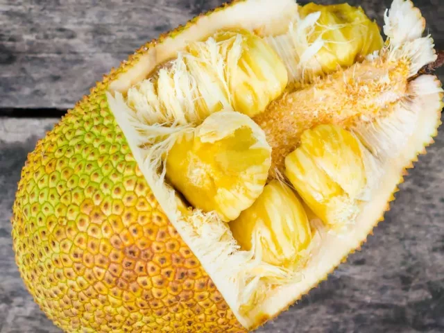 Does Jackfruit Taste As Weird As It Looks - The Wellnest by HUM Nutrition