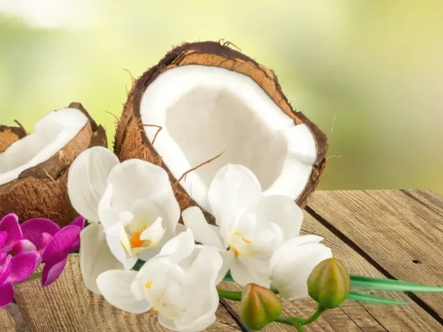 Open coconut and flowers, aka ingredients in a Florapy coconut sheet mask