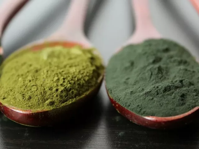 5 Green Superfoods in powder form in wooden spoons on table