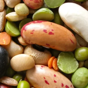 Bunch of beans and legumes for alkaline diet benefits