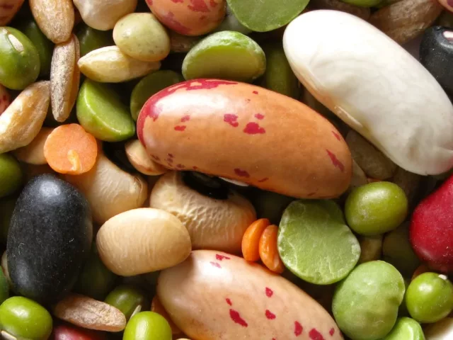 Bunch of beans and legumes for alkaline diet benefits