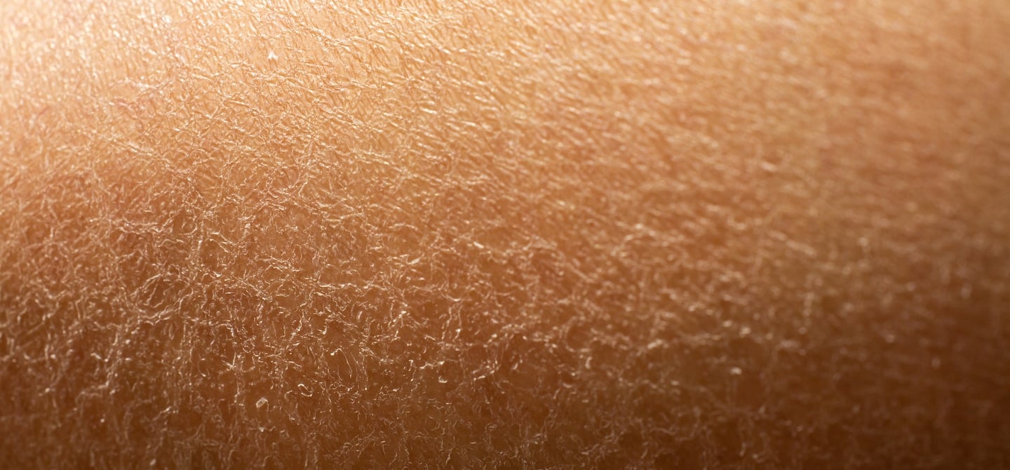 What Is GLA? The Essential Fatty Acid For Dry Skin HUM Nutrition Blog
