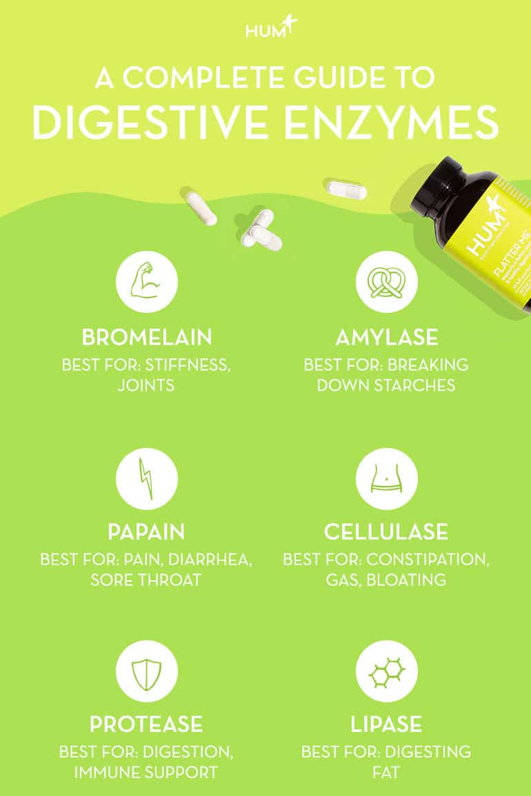 How to Choose the Best Digestive Enzymes for You HUM Nutrition Blog