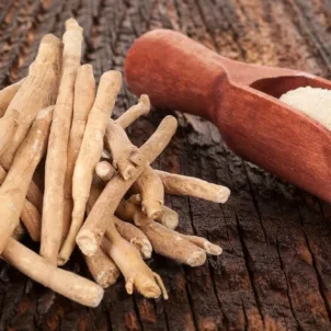 Ashwagandha root and powder on a wooden table