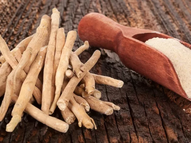 Ashwagandha root and powder on a wooden table