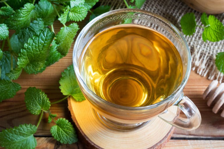 Lemon Balm Tea - Tea Benefits - The Wellnest by HUM Nutrition