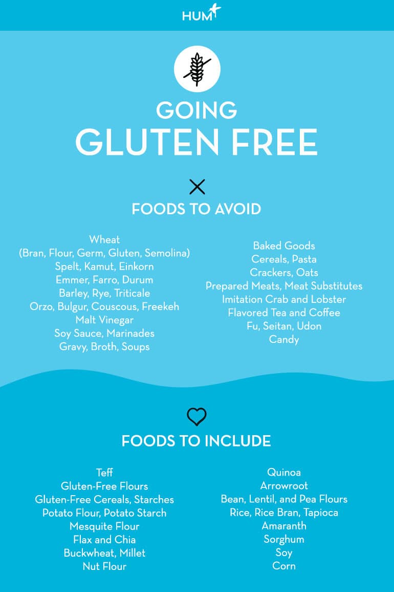 Gluten intolerance infographic - foods to avoid and gluten-free foods to eat