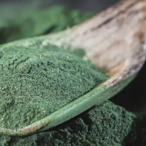 Spirulina Benefits - Spirulina - The Wellnest by HUM Nutrition