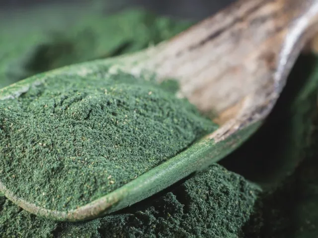 Spirulina Benefits - Spirulina - The Wellnest by HUM Nutrition