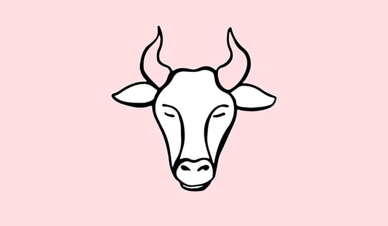 taurus bull illustration on pink background