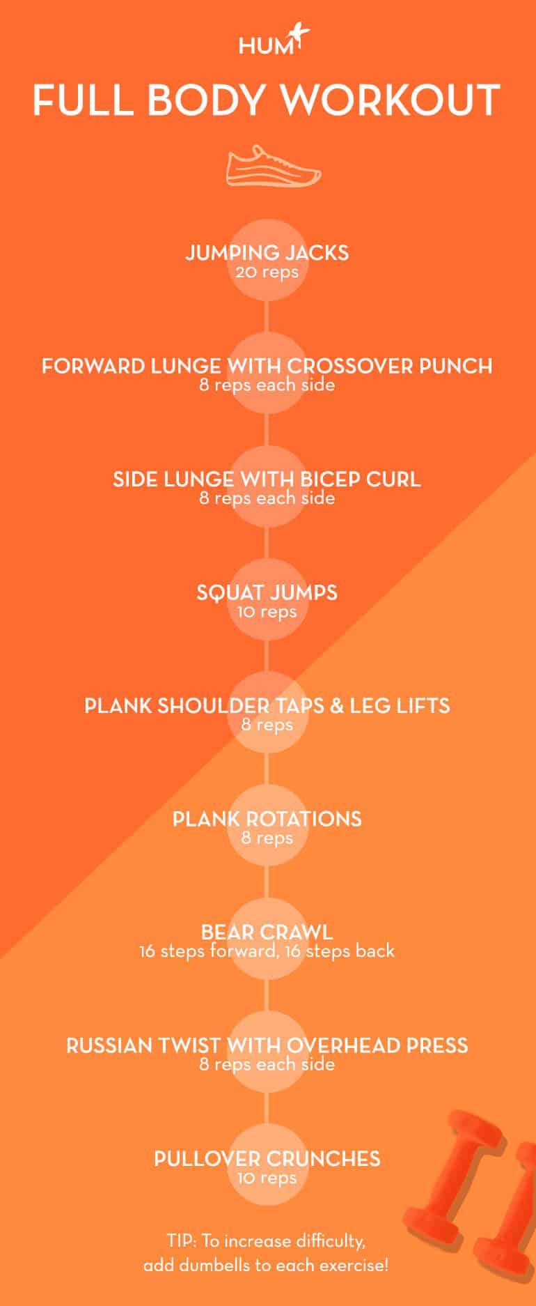 Full Body Workout Infographic