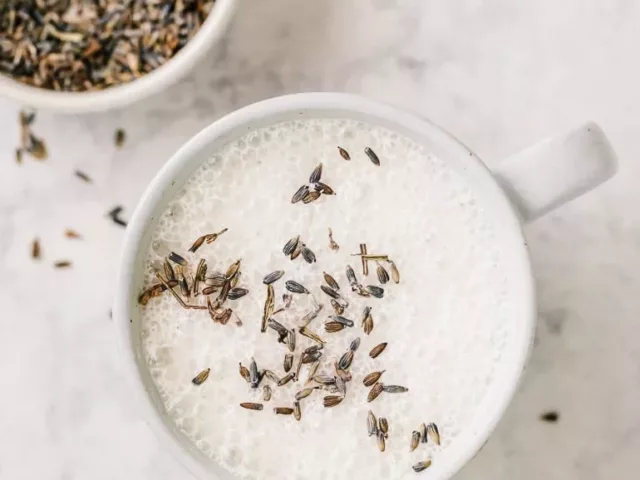 Lavender Vanilla Latte for the ultimate pre-bed drink to ease yourself to sleep; reap lavender latte benefits, including calm and less stress