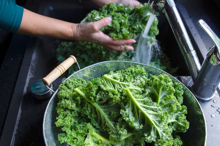 Washing kale as part of a whole-food, plant-based diet.