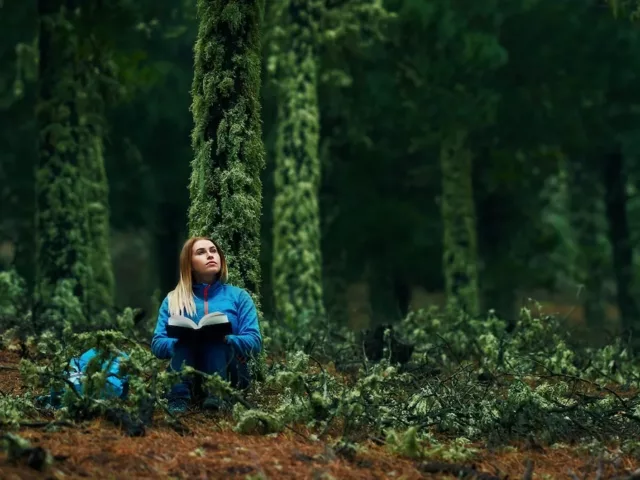 Woman journaling in solitude in forest