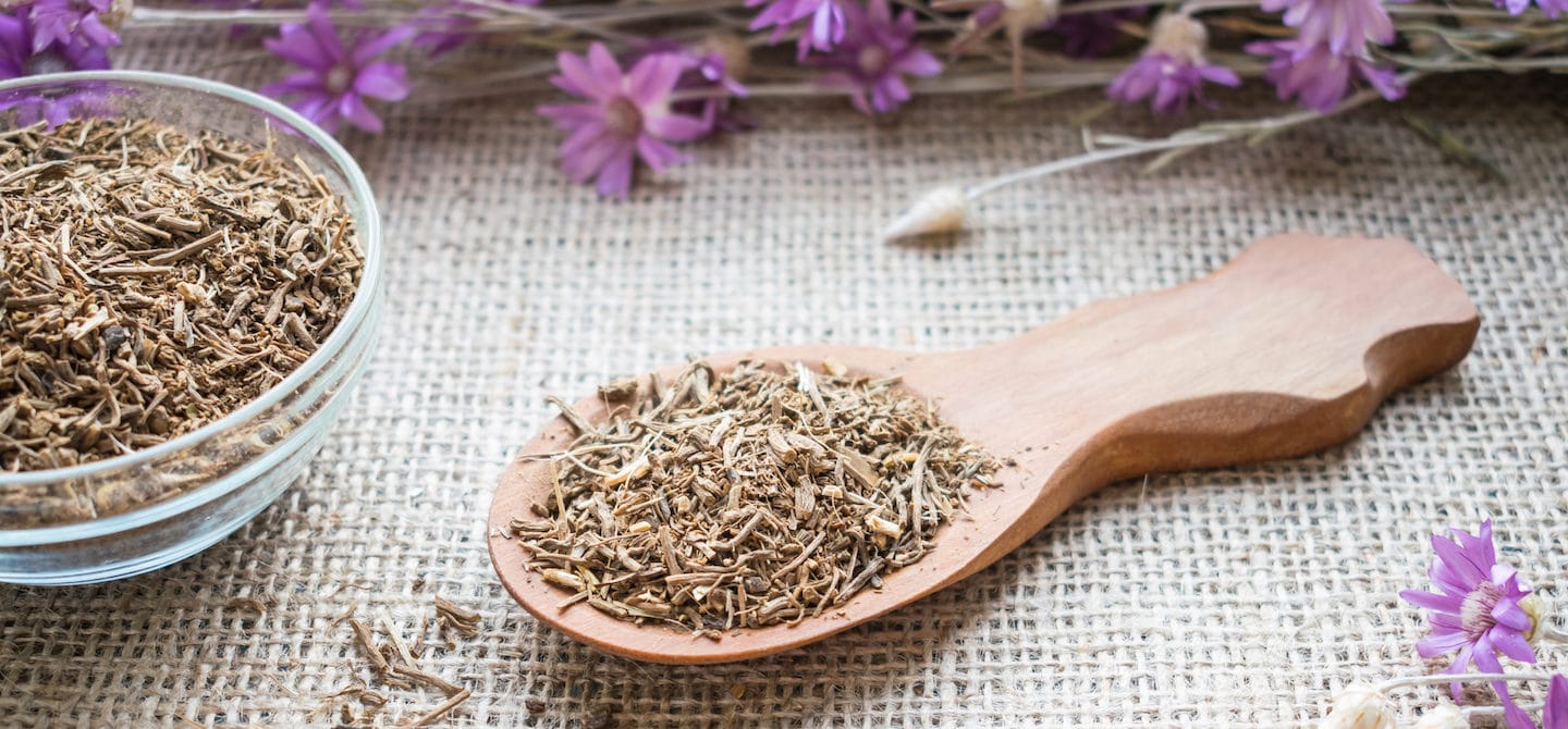 Why Valerian Root Is Legendary for Sleep and Stress HUM Nutrition Blog