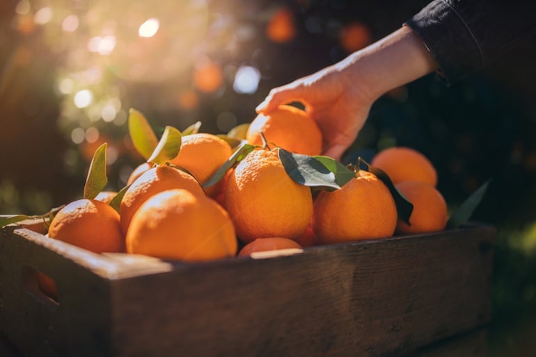 Man reaching for an orange in a barrel outdoors