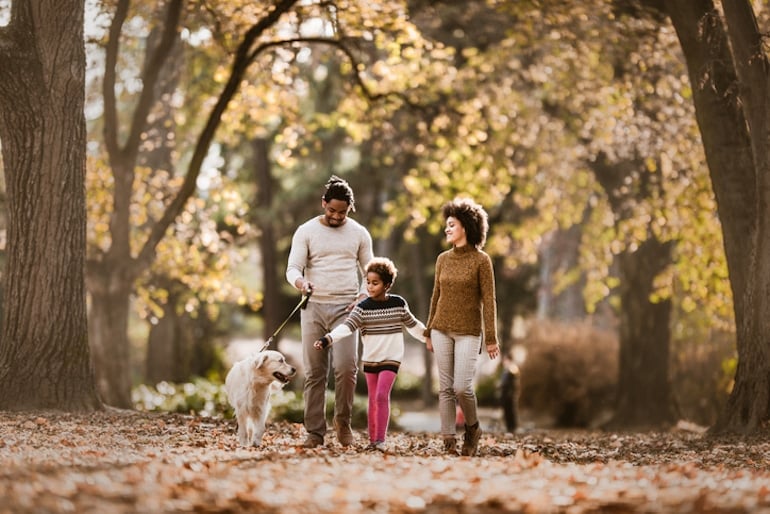 Smiling family of three walking the dog through leaves in the fresh air