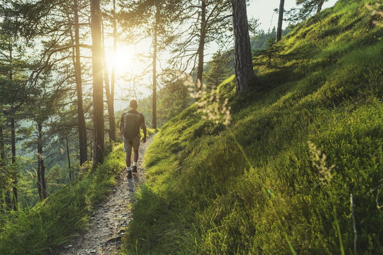 Man walking along forest hiking trail to reap rewards of nature and benefits of walking every day