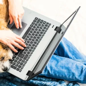 Man working from home on couch with laptop and puppy