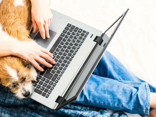 Man working from home on couch with laptop and puppy