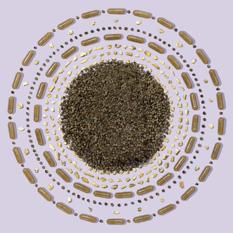 Mandala idea of chasteberry herbs/vitex supplements to help with fertility