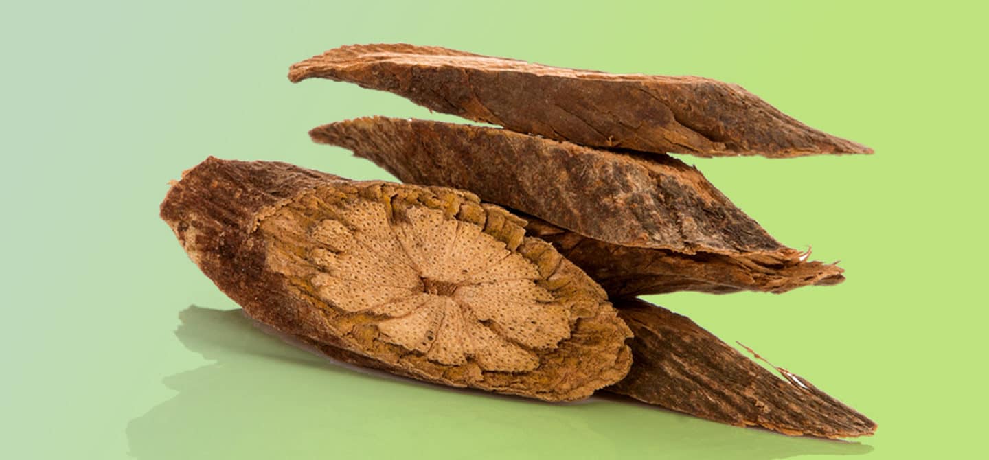 How The Benefits Of Fo Ti Extend To Hair And Vitality Hum Nutrition Blog