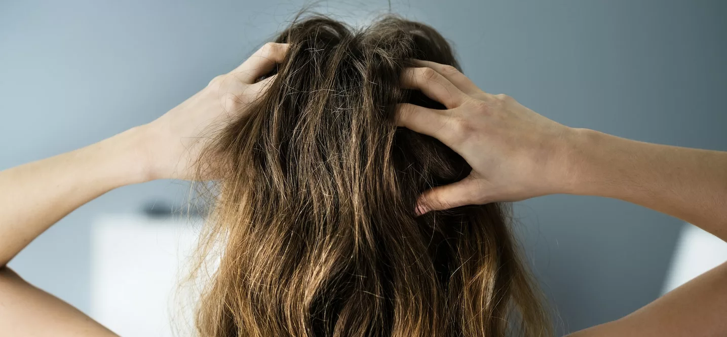 Lanolin Benefits for Hair | Benefits of Lanolin for Hair | High Meadow Skin  Care