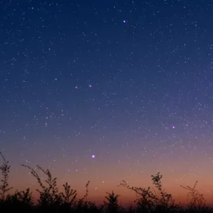 Full moon over a field amidst a purple and orange starry night sky