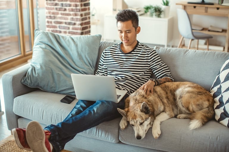 Man organizing his emails at home on his laptop, petting his dog