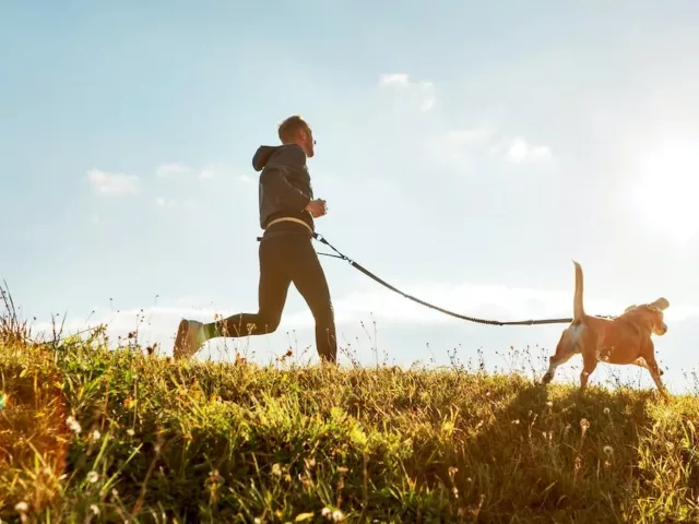 Man running with dog in nature to show how exercise reduces stress