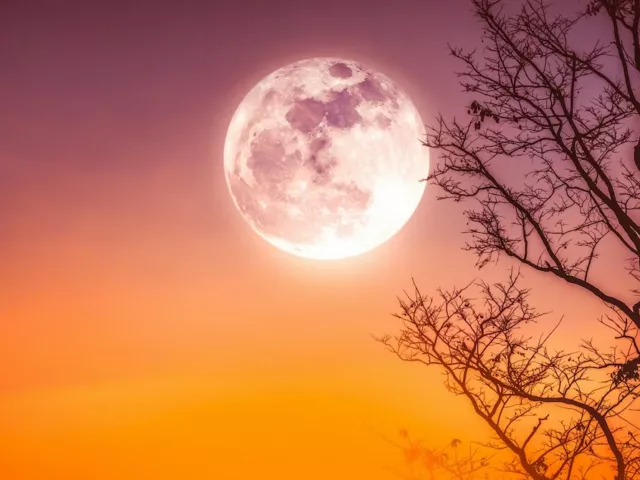 October Full Moon - Harvest Moon in orange sky to illustrate astrology and wellness horoscopes