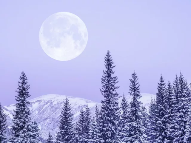 Snowy forest with full moon in purple sky for astrology and wellness horoscopes concept