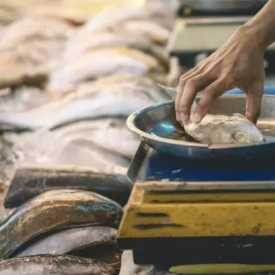 Fishmonger weighing fish at the market; sustainable seafood concept