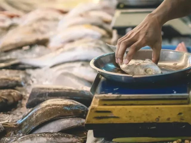 Fishmonger weighing fish at the market; sustainable seafood concept