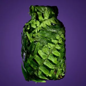 Polypodium leucotomos fern covering a supplement bottle on a purple background