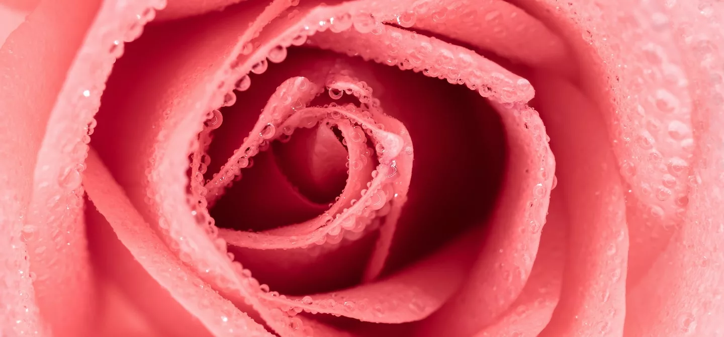 sex toys for boyfriend Diabetes mellitus, vaginal microbiome and sexual function: Outcomes in  postmenopausal women