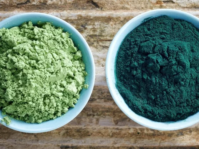 Chlorella vs. spirulina in powder form