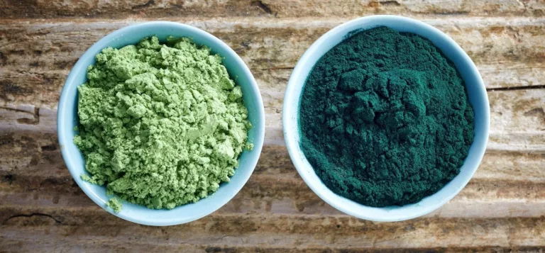 Chlorella vs. spirulina in powder form