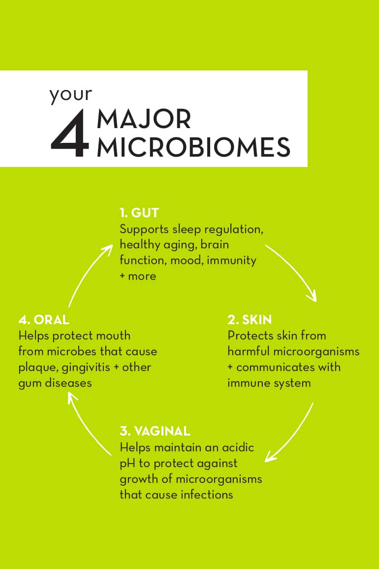 4 Major Microbiomes Infographic