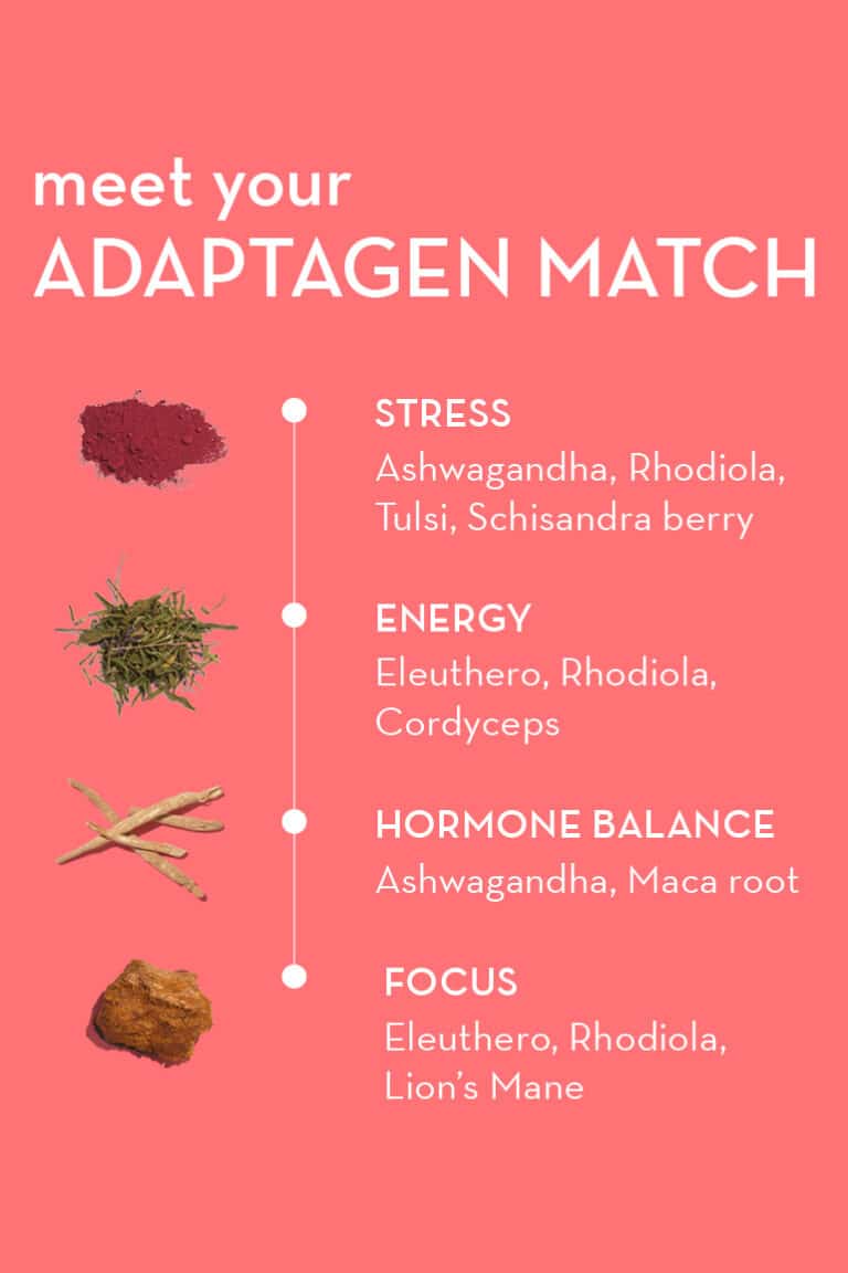 What Are Adaptogens? Your Ultimate Guide for Stress, Energy, Hormone