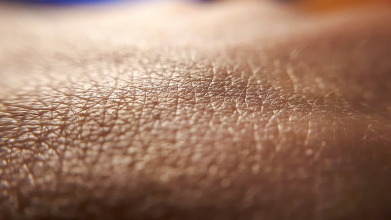 close up of skin