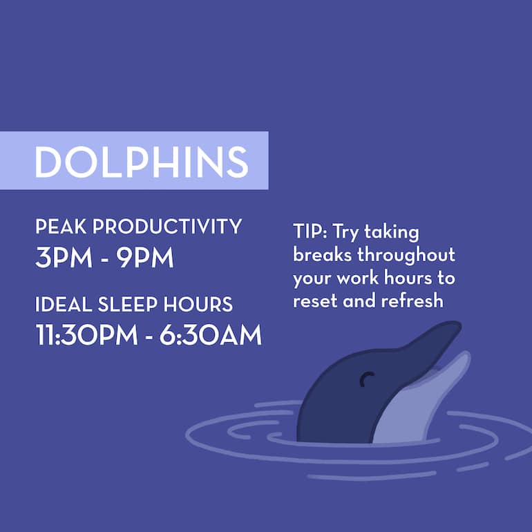 Dolphin Chronotype