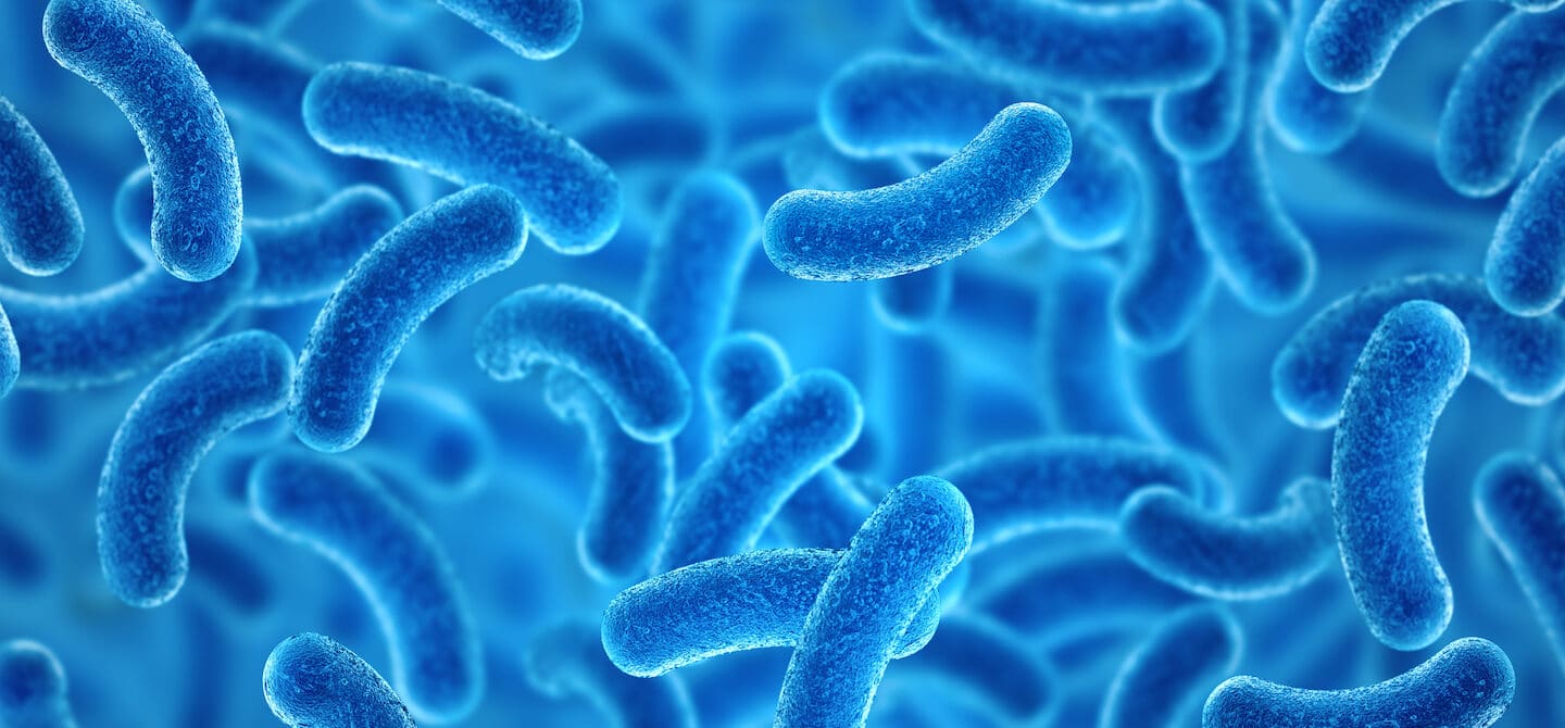 What Are Postbiotics? Examples, Benefits, Foods, and More HUM